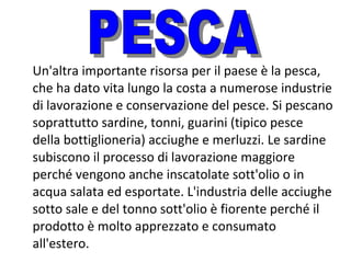 Un'altra importante risorsa per il paese è la pesca,
che ha dato vita lungo la costa a numerose industrie
di lavorazione e conservazione del pesce. Si pescano
soprattutto sardine, tonni, guarini (tipico pesce
della bottiglioneria) acciughe e merluzzi. Le sardine
subiscono il processo di lavorazione maggiore
perché vengono anche inscatolate sott'olio o in
acqua salata ed esportate. L'industria delle acciughe
sotto sale e del tonno sott'olio è fiorente perché il
prodotto è molto apprezzato e consumato
all'estero.

 