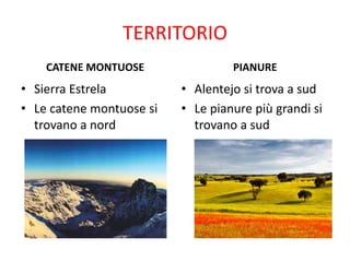 TERRITORIO
CATENE MONTUOSE
• Sierra Estrela
• Le catene montuose si
trovano a nord
PIANURE
• Alentejo si trova a sud
• Le pianure più grandi si
trovano a sud
 