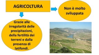 10
Grazie alle
irregolarità delle
precipitazioni,
della fertilità dei
terreni e dalla
presenza di
latifondi.
AGRICOLTURA Non è molto
sviluppata
 