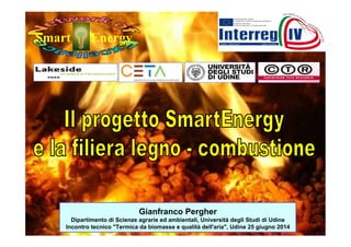 1
1
Gianfranco Pergher
Dipartimento di Scienze agrarie ed ambientali, Università degli Studi di Udine
Incontro tecnico "Termica da biomasse e qualità dell'aria", Udine 25 giugno 2014
	
  
Smart Energy
 