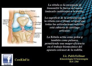 Luxación de Rótula