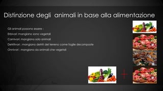 Distinzione degli animali in base alla alimentazione
Gli animali possono essere :
Erbivori :mangiano sono vegetali
Carnivori: mangiano solo animali
Detritivori : mangiano detriti del terreno come foglie decomposte
Onnivori : mangiano sia animali che vegetali

 