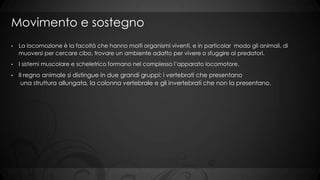 Movimento e sostegno
•

La locomozione è la facoltà che hanno molti organismi viventi, e in particolar modo gli animali, di
muoversi per cercare cibo, trovare un ambiente adatto per vivere o sfuggire ai predatori.

•

I sistemi muscolare e scheletrico formano nel complesso l’apparato locomotore.

•

Il regno animale si distingue in due grandi gruppi: i vertebrati che presentano
una struttura allungata, la colonna vertebrale e gli invertebrati che non la presentano.

 