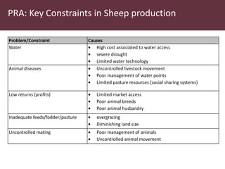 Utilizing technology to improve market access and livelihood security among pastoralists in eastern Africa: A case for the indegenous sheep in Kenya