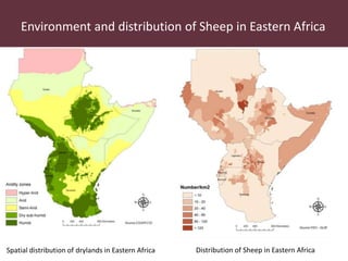 Utilizing technology to improve market access and livelihood security among pastoralists in eastern Africa: A case for the indegenous sheep in Kenya