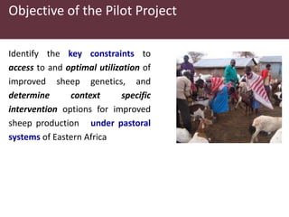 Utilizing technology to improve market access and livelihood security among pastoralists in eastern Africa: A case for the indegenous sheep in Kenya