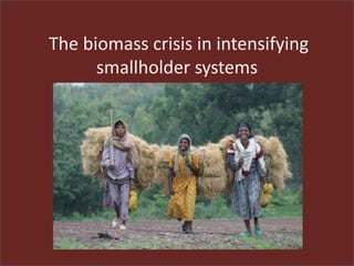 Livestock research for Africa’s food security and poverty reduction