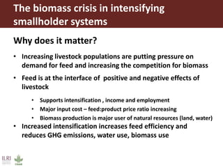 The biomass crisis in intensifying
smallholder systems
Why does it matter?
• Increasing livestock populations are putting ...