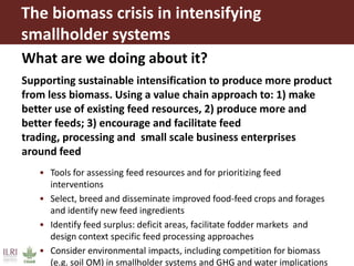 The biomass crisis in intensifying
smallholder systems
What are we doing about it?
Supporting sustainable intensification ...