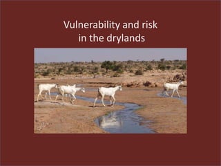Vulnerability and risk
in the drylands
 