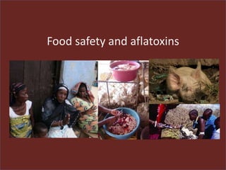 Food safety and aflatoxins
 