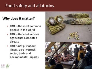 Livestock research for Africa’s food security and poverty reduction