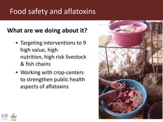 Livestock research for Africa’s food security and poverty reduction