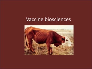 Vaccine biosciences
 