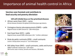Livestock research for Africa’s food security and poverty reduction