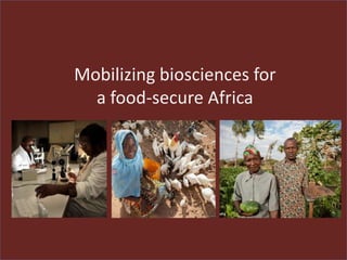 Livestock research for Africa’s food security and poverty reduction