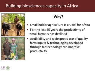 Livestock research for Africa’s food security and poverty reduction