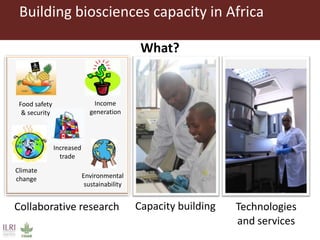 Livestock research for Africa’s food security and poverty reduction
