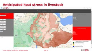 Rangelands data platform: Establishing the first-ever global data platform for monitoring rangelands and consolidating rangeland data