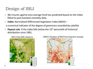 Is the demand of the index-based livestock insurance and informal insurance network substitute or complement? 	