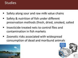 ILRI in Zambia and sub-Saharan Africa: Food safety, zoonoses and animal health