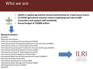 ILRI in Zambia and sub-Saharan Africa: Food safety, zoonoses and animal health