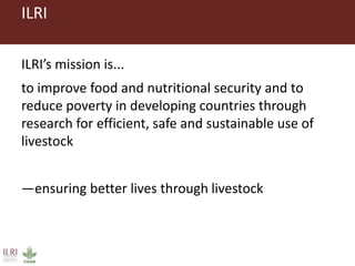 ILRI in Zambia and sub-Saharan Africa: Food safety, zoonoses and animal health