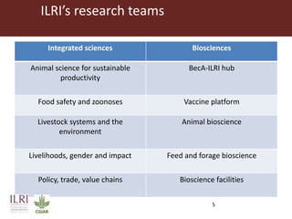 ILRI in Zambia and sub-Saharan Africa: Food safety, zoonoses and animal health