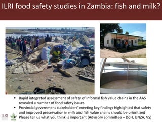 ILRI in Zambia and sub-Saharan Africa: Food safety, zoonoses and animal health