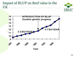 From contemporary comparison to genomic selection: Trends in the principles for genetic evaluations 