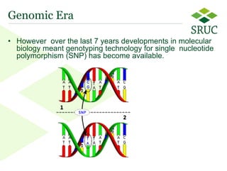 From contemporary comparison to genomic selection: Trends in the principles for genetic evaluations 