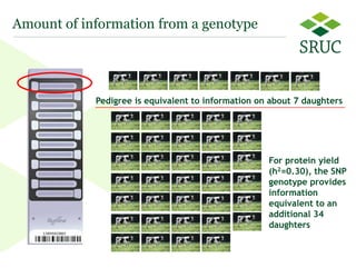 From contemporary comparison to genomic selection: Trends in the principles for genetic evaluations 