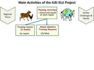 Capacity development in animal breeding and genetics—Insights and opportunities from a decade of regional “training of the trainer” experiences