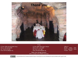 Capacity development in animal breeding and genetics—Insights and opportunities from a decade of regional “training of the trainer” experiences