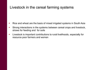 Digitally-enabled information and service platforms for  pro-poor agro-livestock value chains