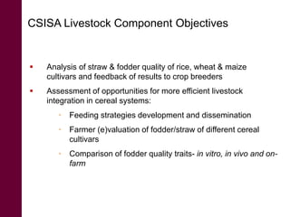 Digitally-enabled information and service platforms for  pro-poor agro-livestock value chains
