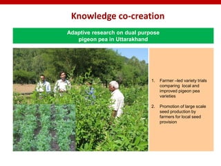 Digitally-enabled information and service platforms for  pro-poor agro-livestock value chains