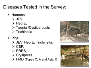 ILRI and ACIAR One Health related research activities in Lao PDR