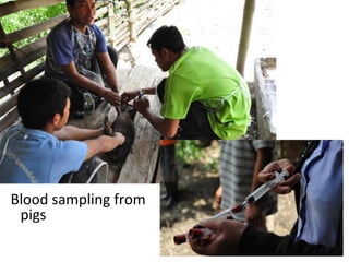 ILRI and ACIAR One Health related research activities in Lao PDR