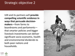 Introducing the ILRI communications and knowledge management team