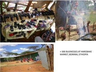 The “Elephant in the Room”: Issues in pastoralism research - an informal conversation 