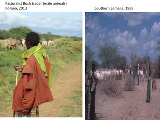 The “Elephant in the Room”: Issues in pastoralism research - an informal conversation 