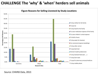 The “Elephant in the Room”: Issues in pastoralism research - an informal conversation 