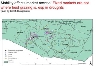The “Elephant in the Room”: Issues in pastoralism research - an informal conversation 