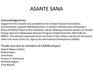 The “Elephant in the Room”: Issues in pastoralism research - an informal conversation 