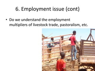 The “Elephant in the Room”: Issues in pastoralism research - an informal conversation 