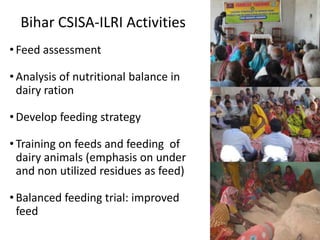 Engaging with self help groups in South Asia: ILRI's example of leveraging existing social capital to reach under-served farmers 