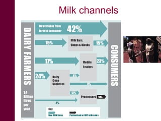 Integrating informal actors into the formal dairy industry in Kenya through training and certification