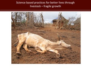 Science based practices for better lives through
livestock – fragile growth
 