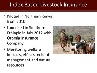 Index Based Livestock Insurance
• Piloted in Northern Kenya
from 2010
• Launched in Southern
Ethiopia in July 2012 with
Or...